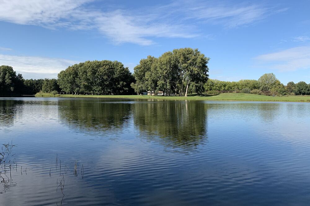Spiegelgladde waterplas in het Lingebos bij Gorinchem met bomen en blauwe lucht