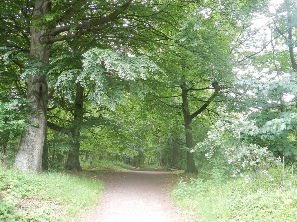 Stegen- en steigerroute in Gorinchem