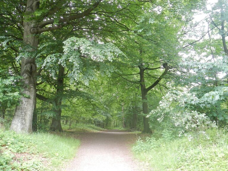 Stegen- en steigerroute — natuur in Gorinchem
