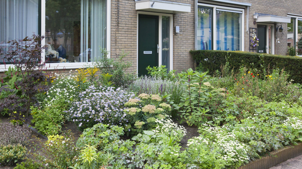Lezing Groei en Bloei Gorinchem: jouw voortuin, een plaatje? in Gorinchem